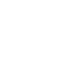 SecurityIcon.webp